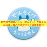 名古屋で喘息バッジ（ぜんそく）が買えるお店は？購入方法やネット通販を紹介